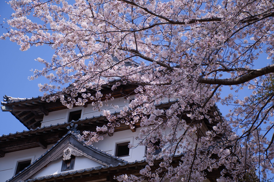 Ueshi-jo castle site