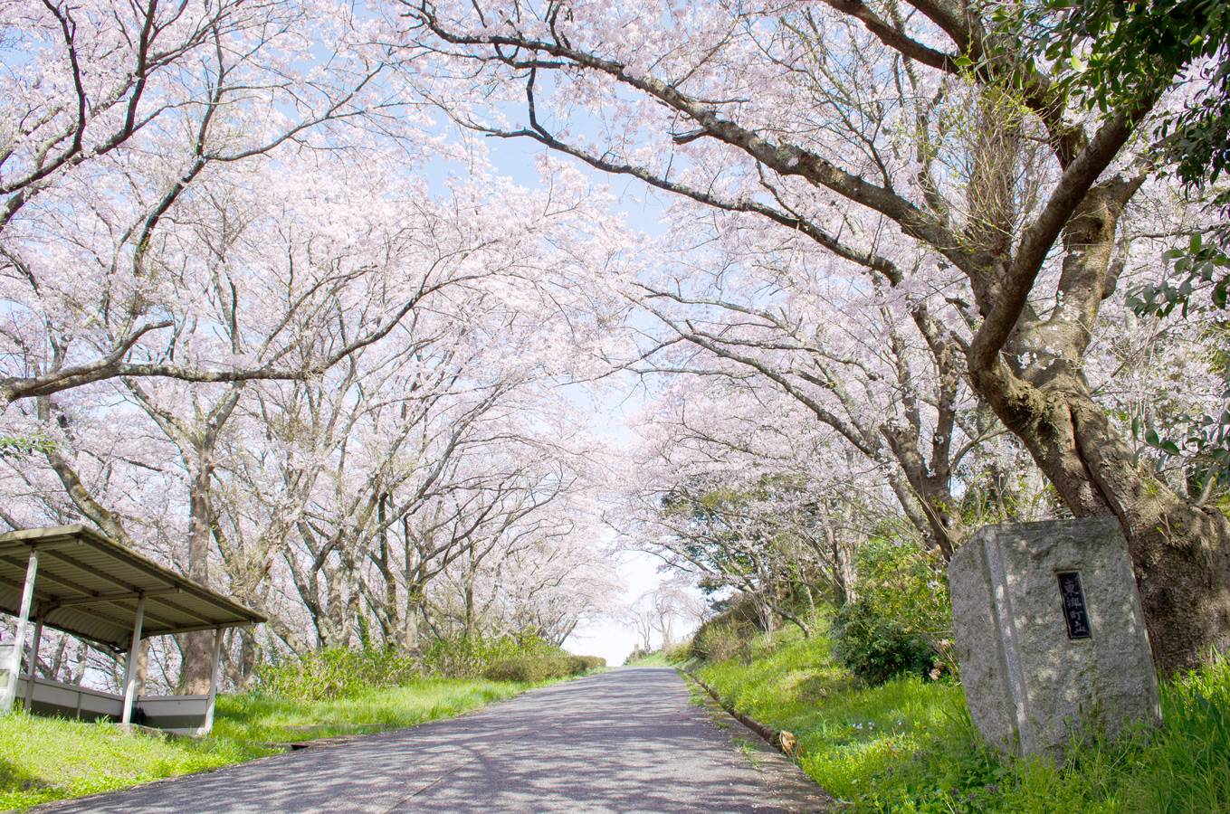 旧桜小学校