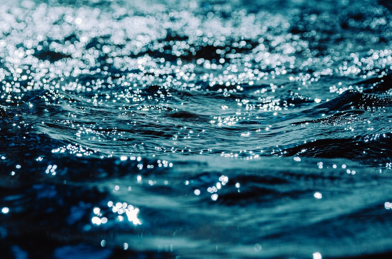Wasser - Baustein des Lebens
