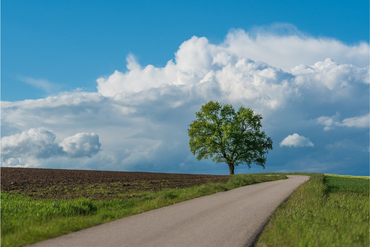 Neue Wege gehen