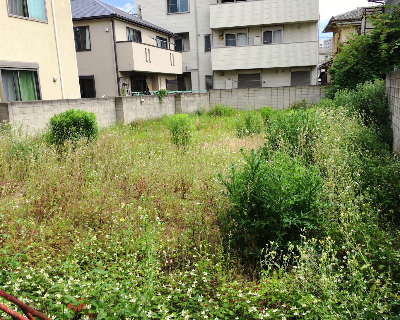 川崎市　G様　空き地の除草作業