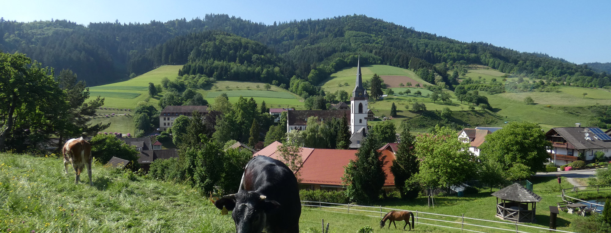Bauernhof mitten im Schwarzwald - Pension Muserhof mitten im Schwarzwald