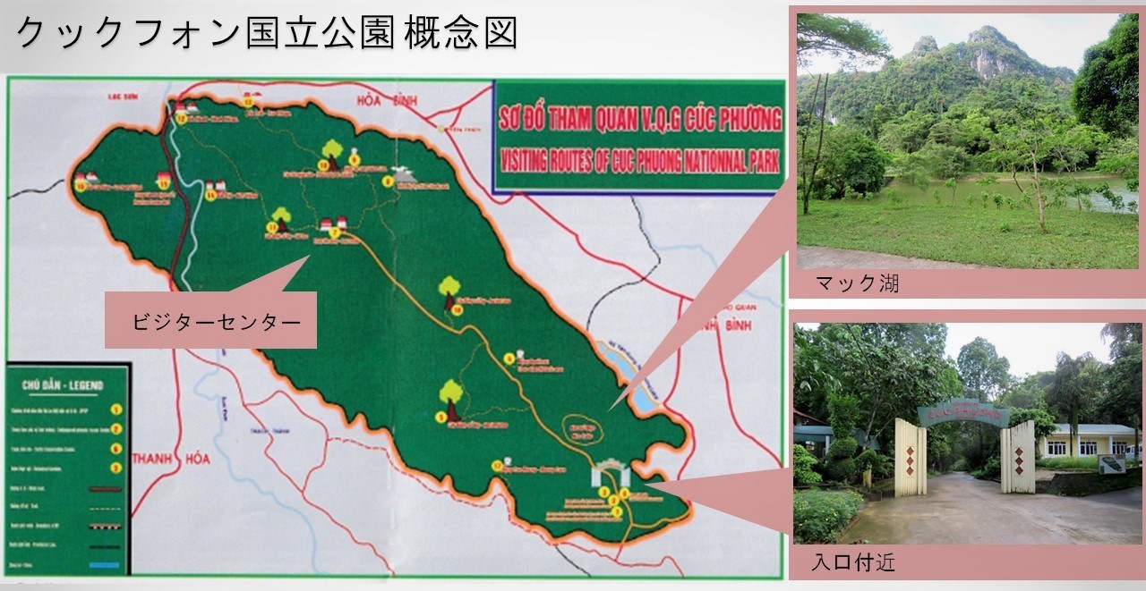 19年採集日記 下 ジャングルに蝶を求めて Spindasis Masaeaeの発見 19年採集日記 下 ジャングルに蝶を求めて Spindasis Masaeaeの発見