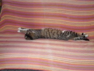Charlie kehrt der Welt den Rücken... Siesta-Time
