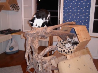 Robbie und Charlie