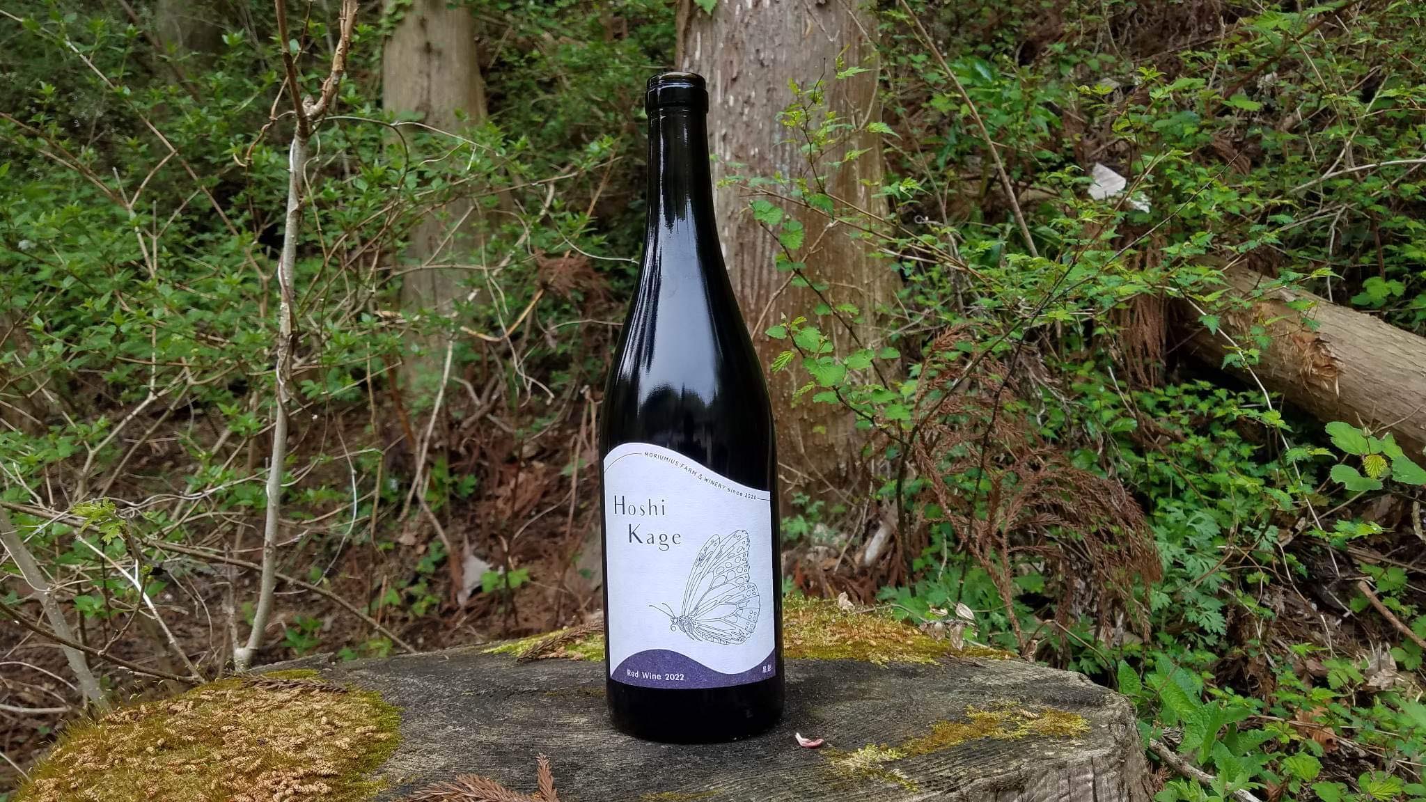 希少 新品 モリニュー MOLYNEUX ヴィーヴ VIVRE 120ml 希少 MOLYNEUX