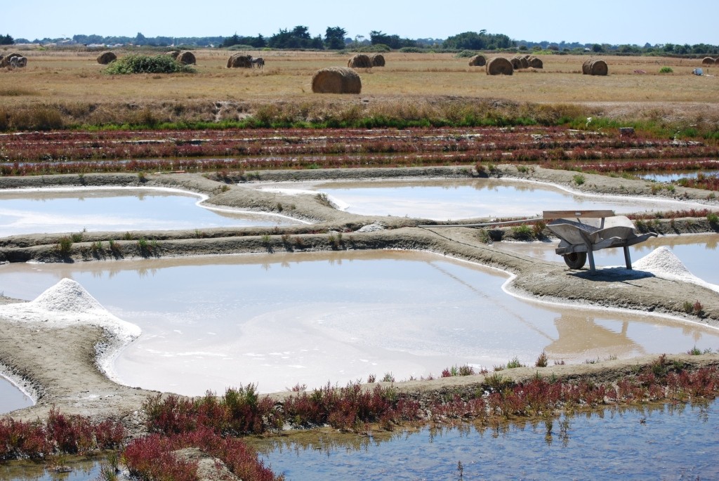 Les marais salants