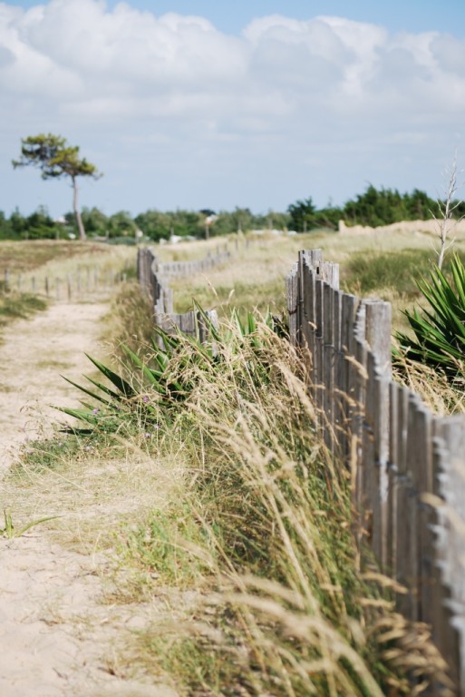 Les dunes de la plage de la Court