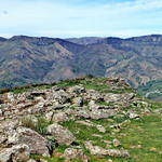 2025_2025-04-18 Jara