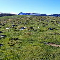 2023_2023-11-08 Utzigaina