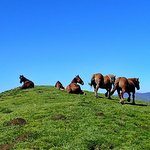 2019_2019-05-13 Arthanolatze