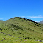 2021_2021-05-20 Pic Larla