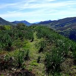 2017_2017-05-15 Turon de Luzé