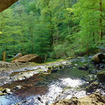 2025_2025-04-25 Sources de la Bidouze