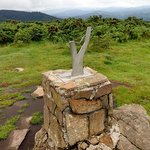 2018_2018-06-14 Xoldoko Gaina