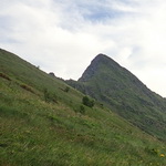 2021_2021-07-23 Pic Viscos