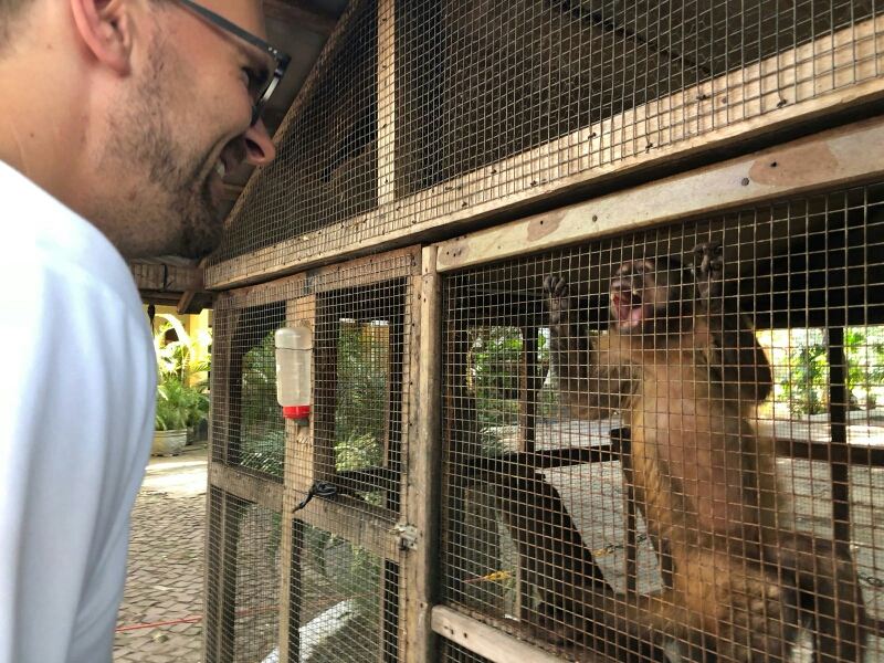 Martins Anblick erfreut den Affen täglich auf's Neue ;-) 