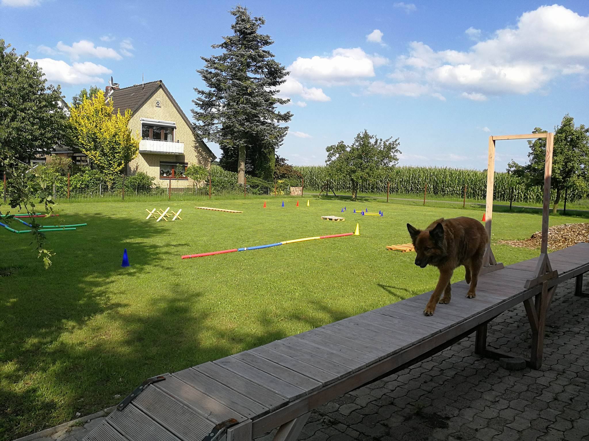 Hundesport Hundeschule und Ernährungsberatung für Hunde von Verden