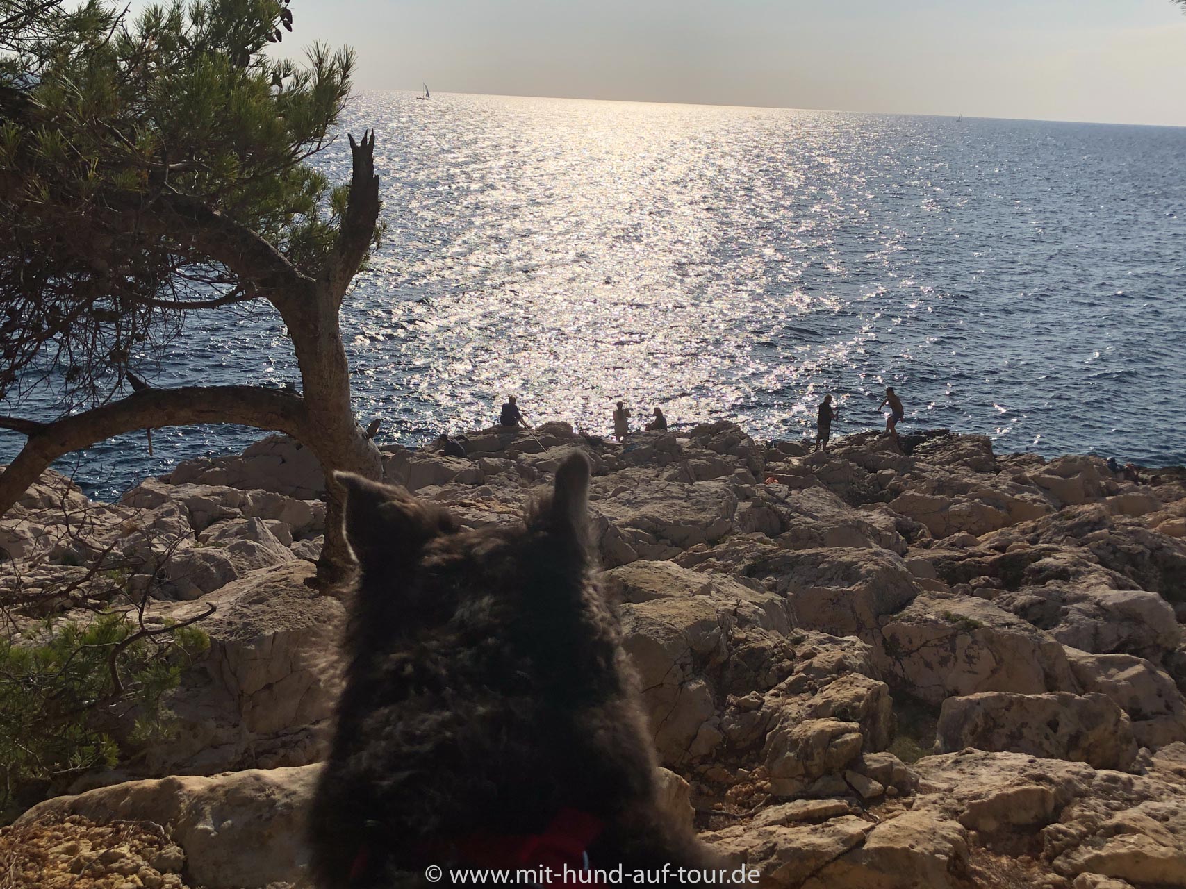 Mit Hund an der Cote d' Azur Mit Hund auf Tour