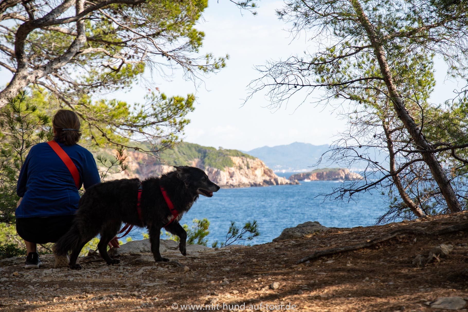 Mit Hund an der Cote d' Azur Mit Hund auf Tour