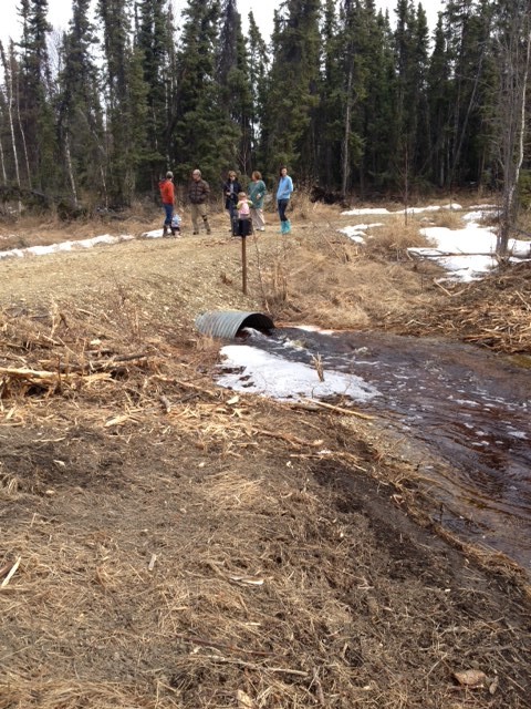 More panoramic view of the Rogge Creek flow at the culvert.  Visible in the background are the Warwick family and Sue Cook