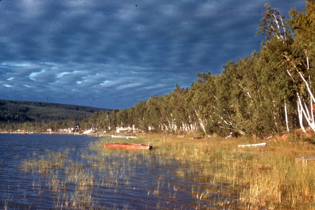 Photo taken looking south along west shore of Harding Lake in vicinity of Warwick cabin.  Probably taken in early 1950's