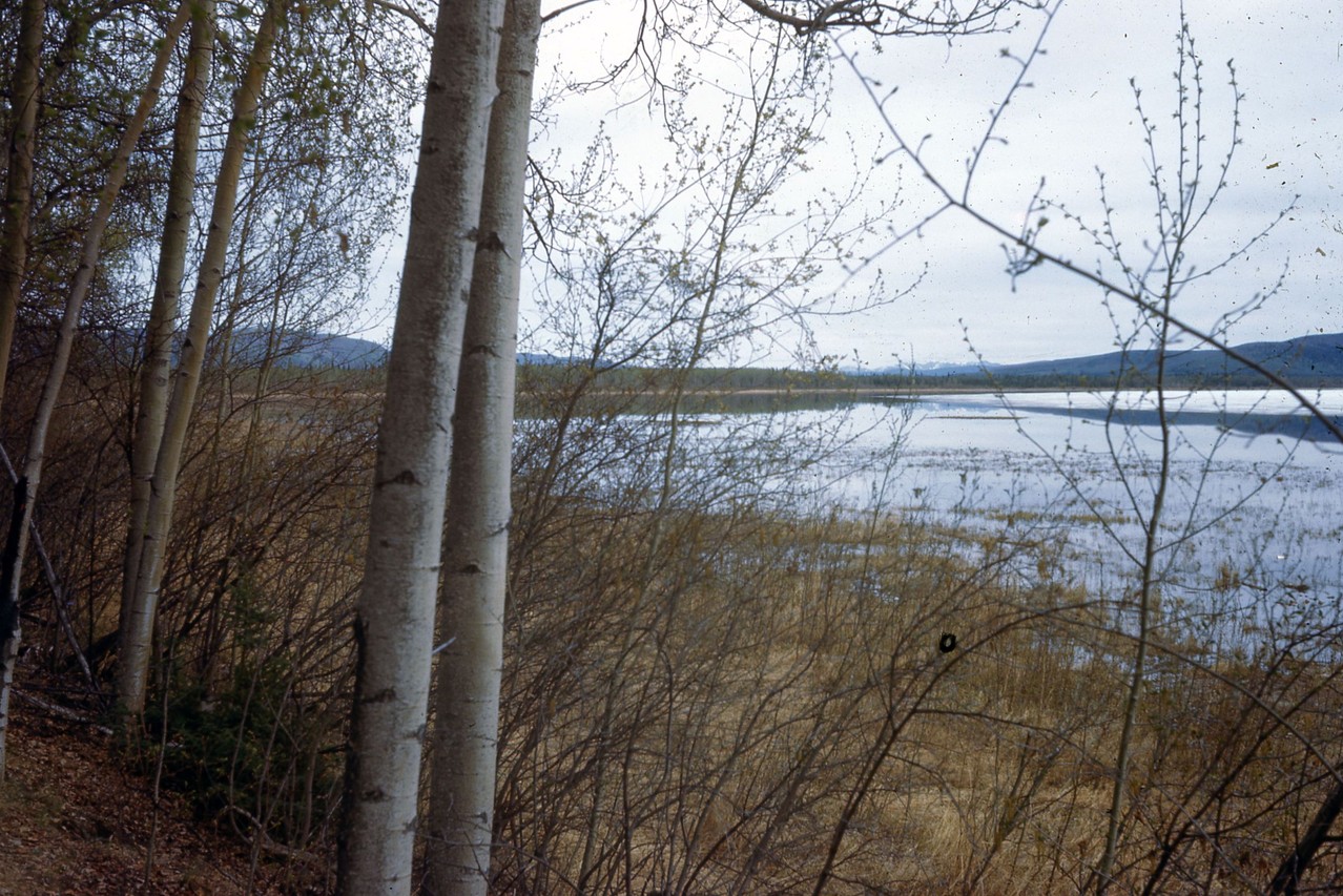 Fall or spring at Harding Lake.  In front of where the Anderson home now sits, near campground.  Probably taken in 1940's.