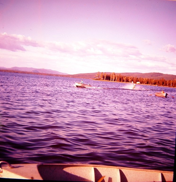 Water skier at Harding Lake in 1950's.  The point where Gordon's home now sits is clearly visible.