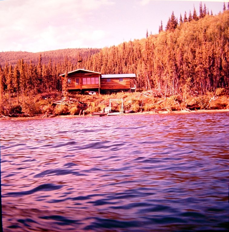 Groseclose cabin on far side of Harding Lake just after it was moved there in 1950's.  Image is reversed.