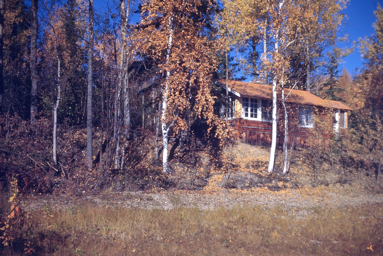 Ear and Pat Cook cabin at Harding Lake in 1943.  Now owned by Nancy Cook Hanson.