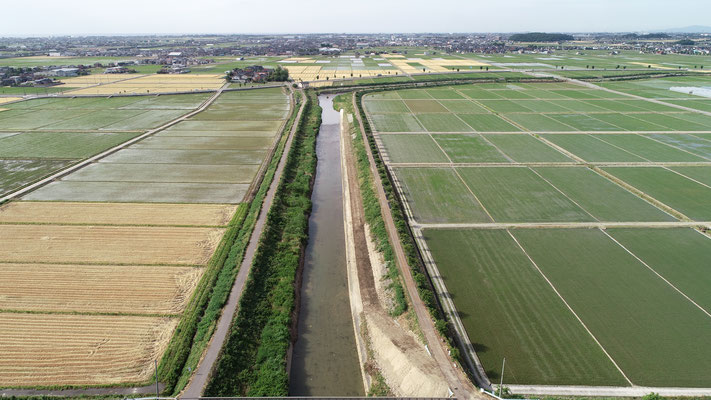 一級河川鍋谷川　広域河川改修工事（河道掘削工その2）