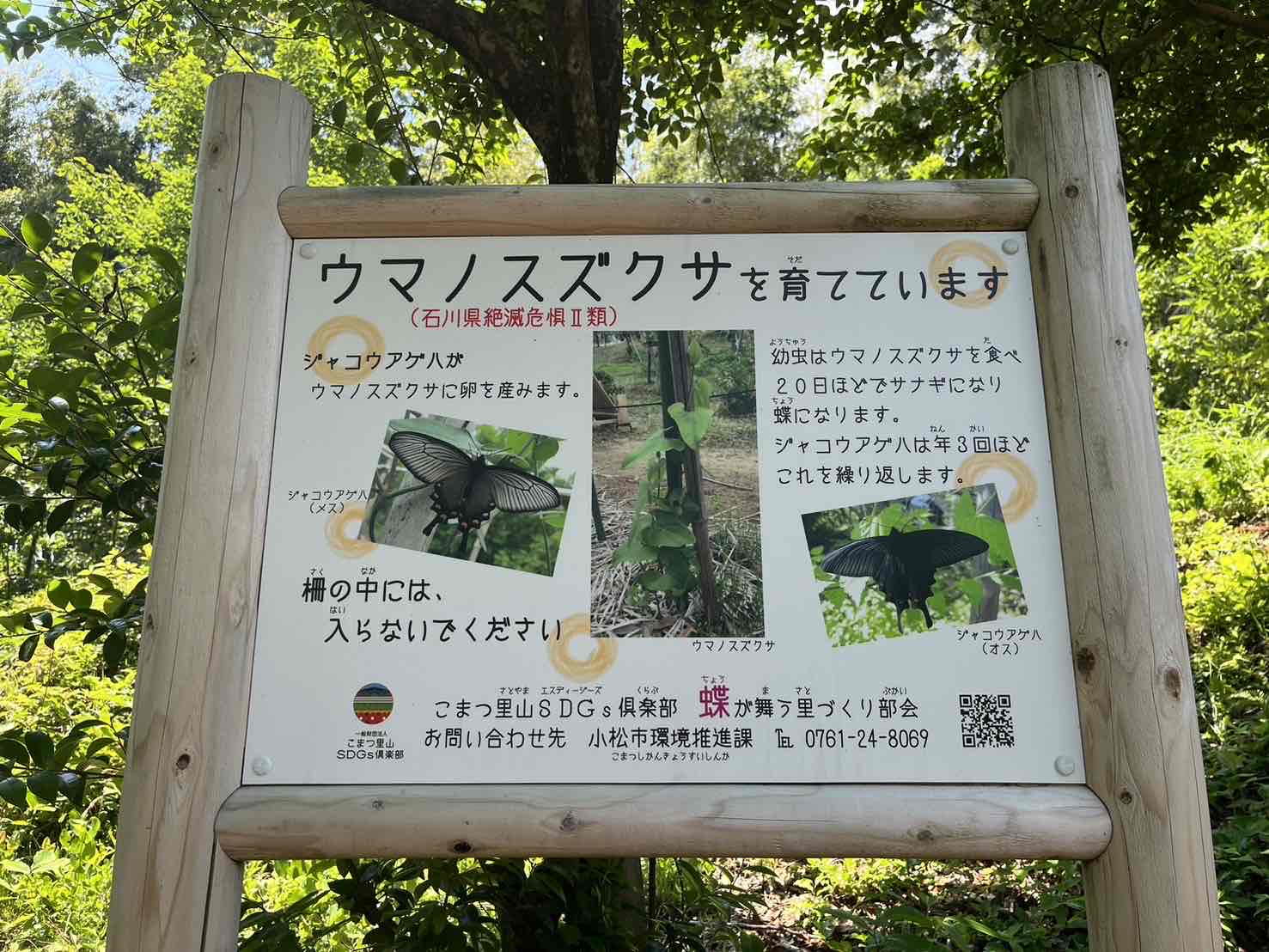 本建設工業の森　活動報告(R6.6)