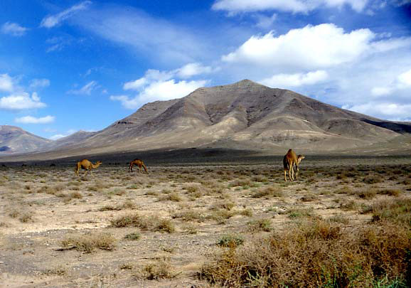 LANZAROTE