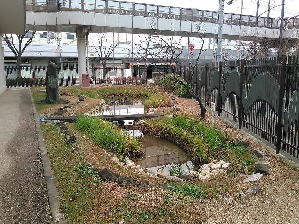 教育施設のビオトープ