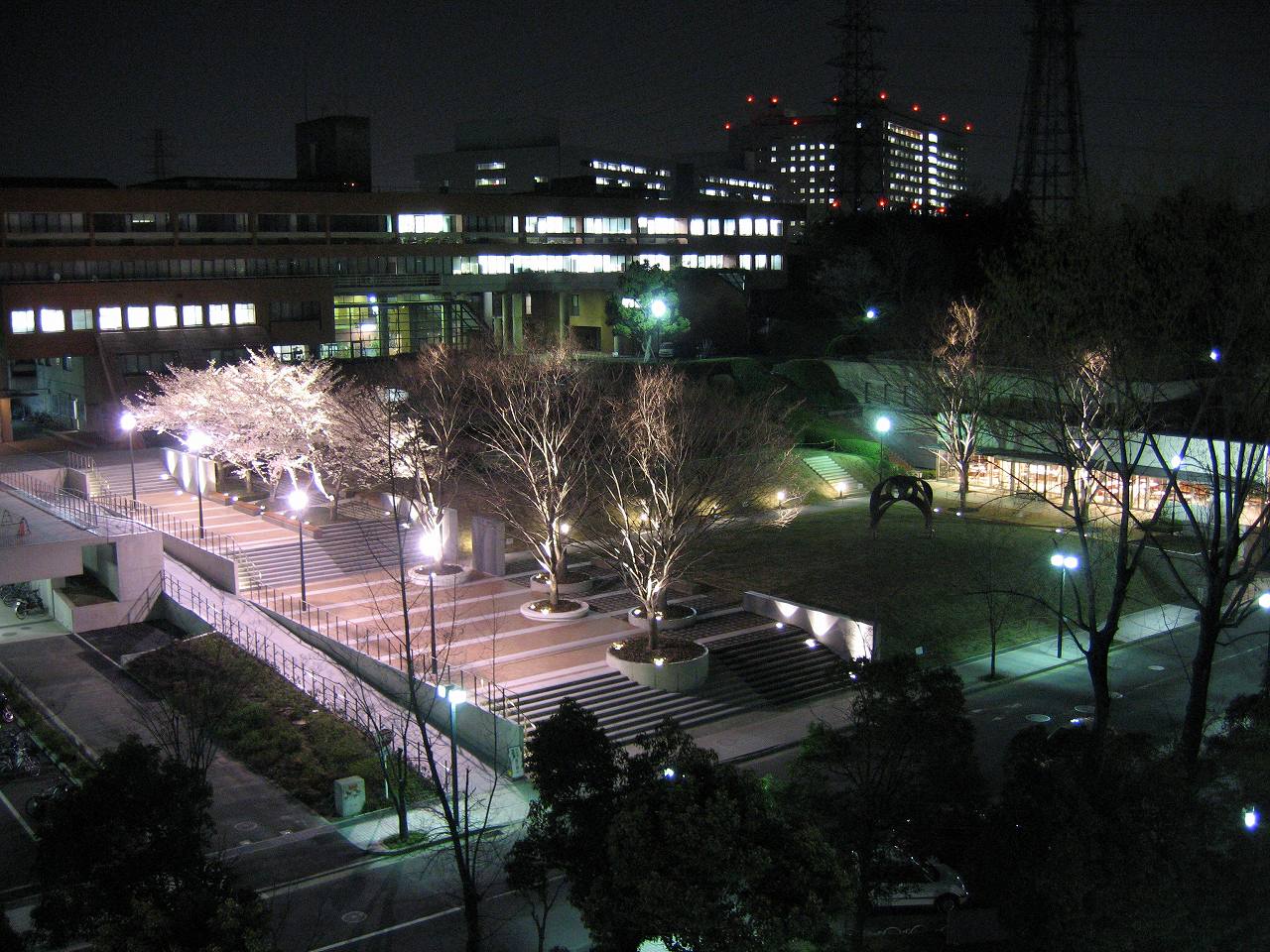 大学の外構
