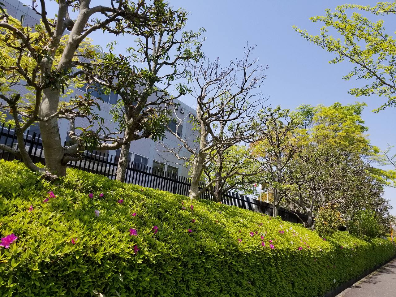 工場の緑地