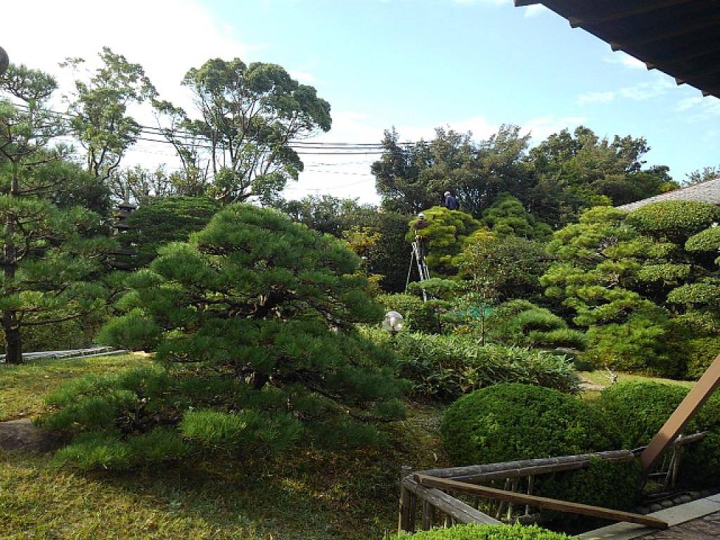 ホテルの緑地管理