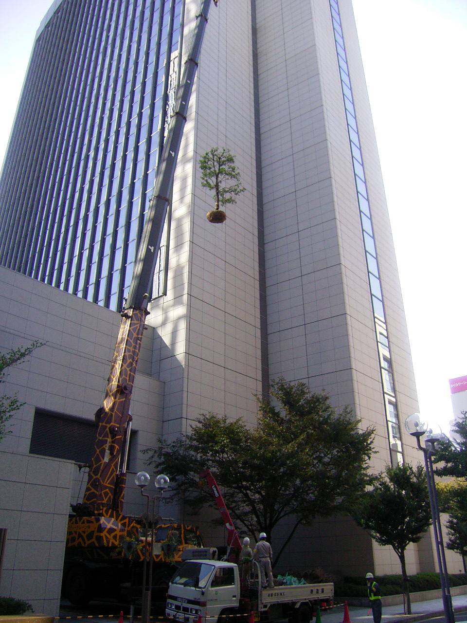 企業の緑地