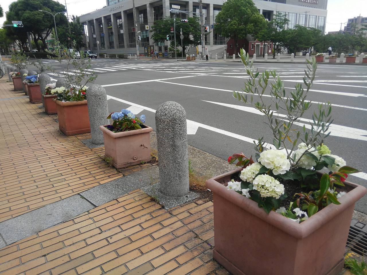 北野エリア花壇管理業務