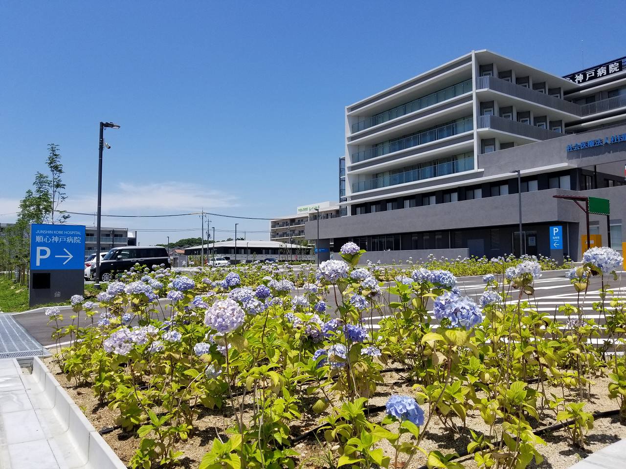 病院の緑地