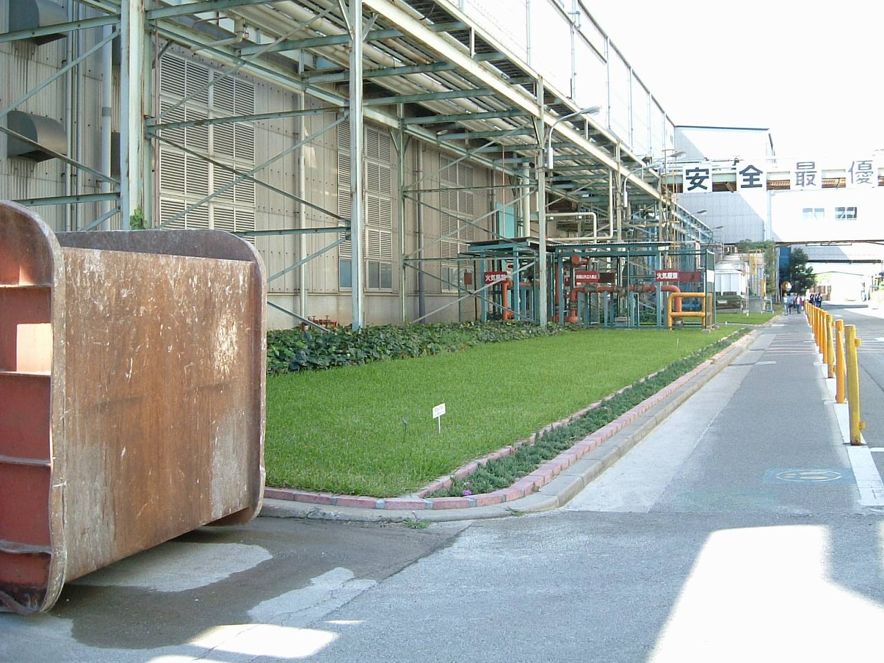 工場の芝生