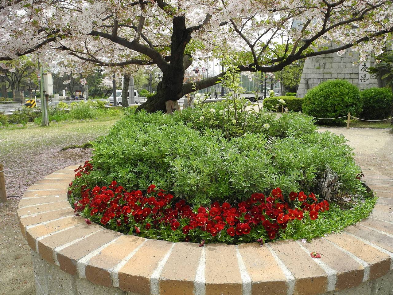 住吉公園レイズドベッド