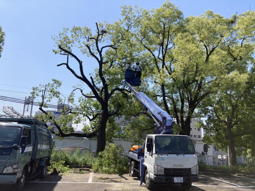 神戸市立王子動物園