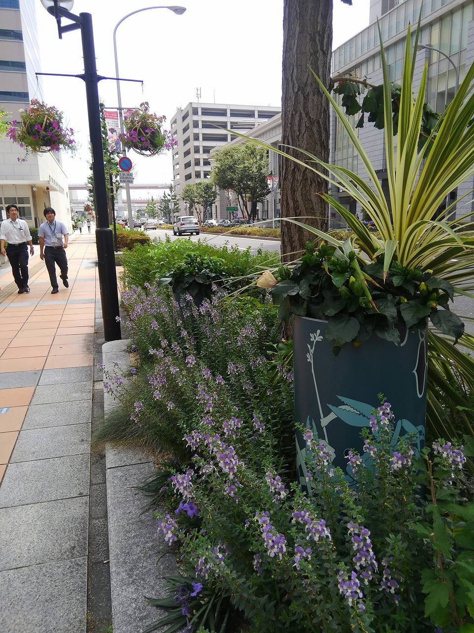 旧居留地エリア花壇管理業務