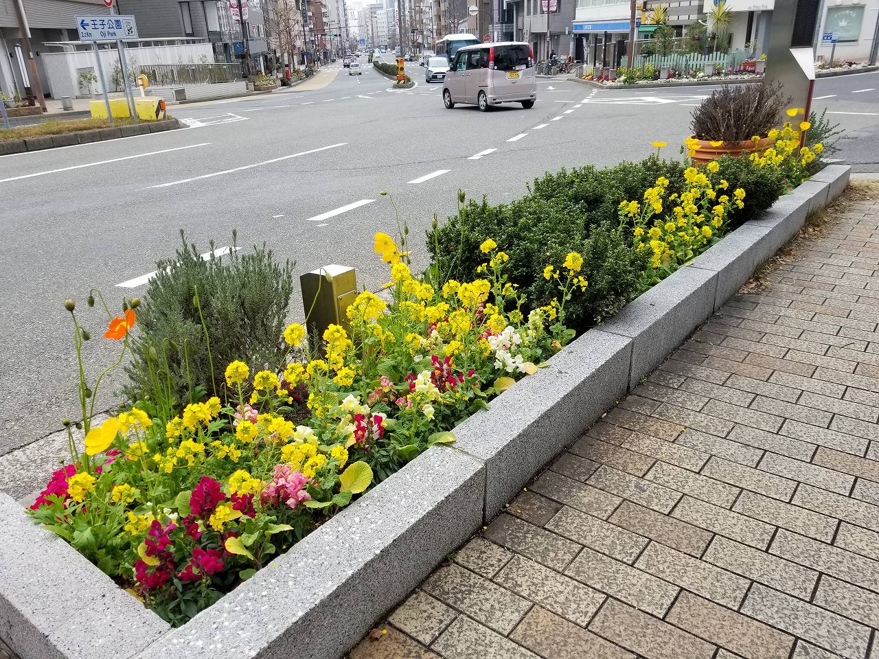 三宮北エリア花壇管理業務