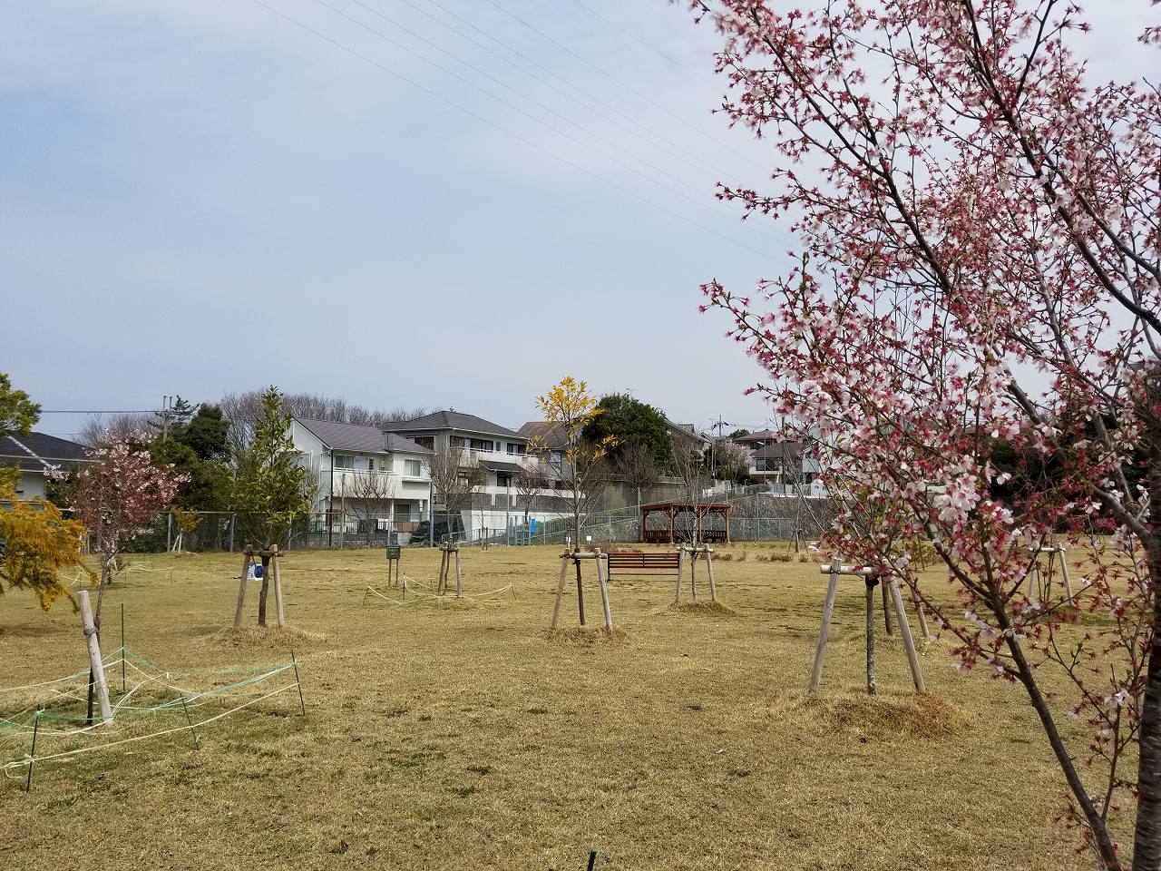 惣山暫定少年グラウンド横緑地