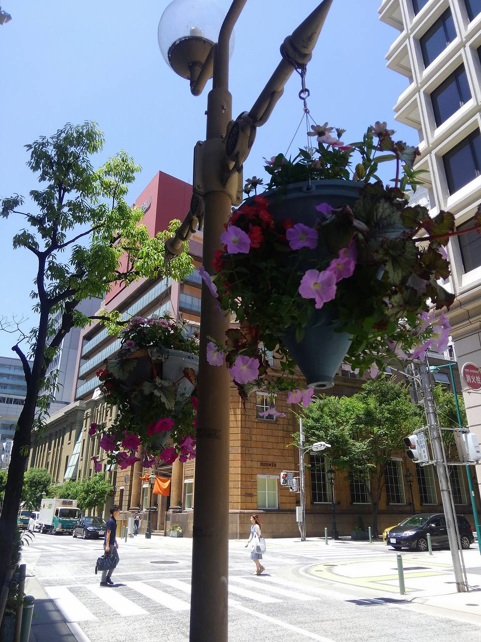 旧居留地エリア花壇管理業務