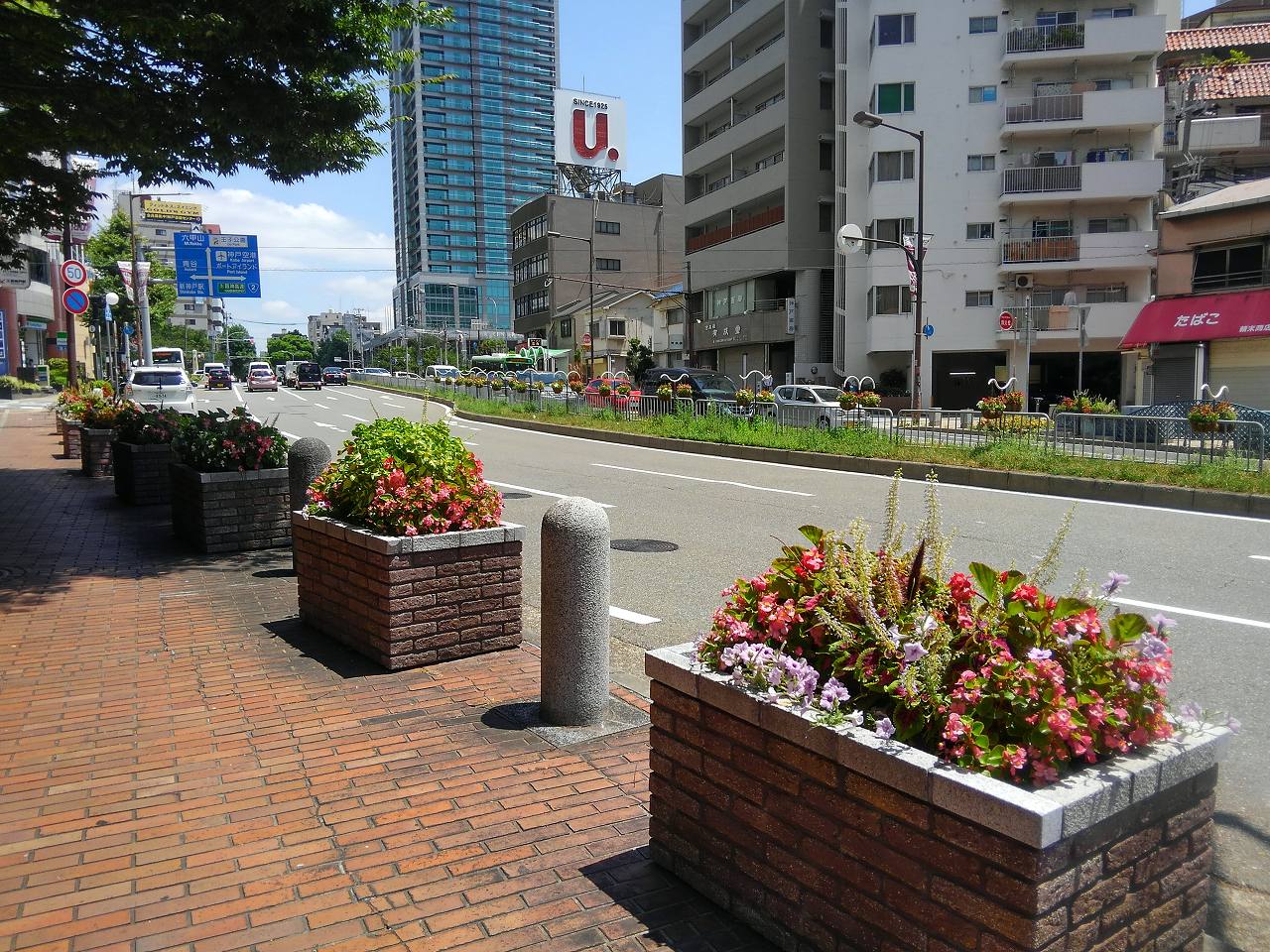 三宮北エリア花壇管理業務