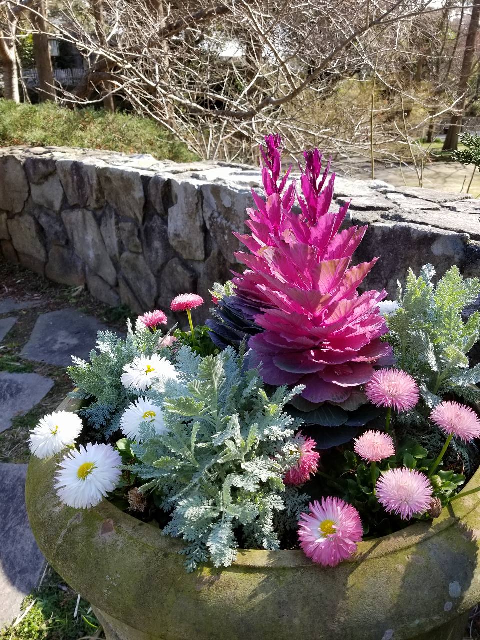 須磨離宮公園花の庭園