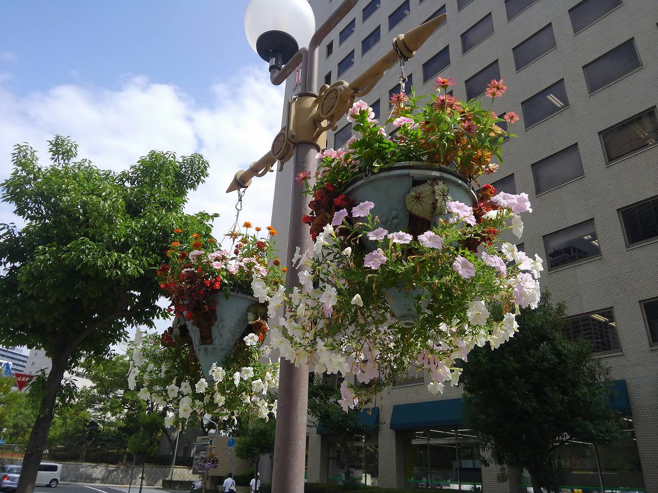 旧居留地エリア花壇管理業務